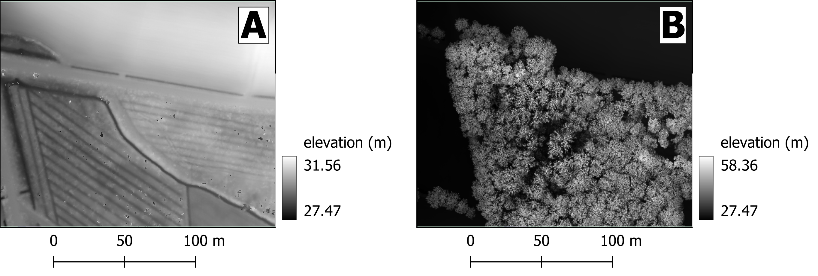 Same area as a DEM (A) and DSM (B). Note how the DSM is representing the top of the trees and that reflects in the elevation values.